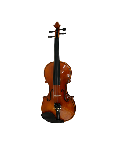 Violín 3/4 Gaudieri HD-V01