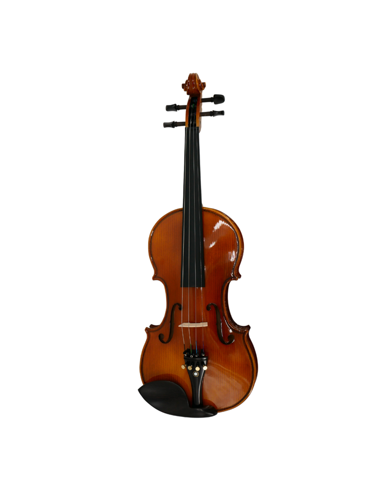 Violín 3/4 Gaudieri HD-V01
