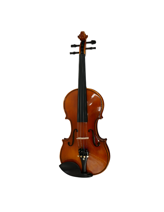 Violín 3/4 Gaudieri HD-V01