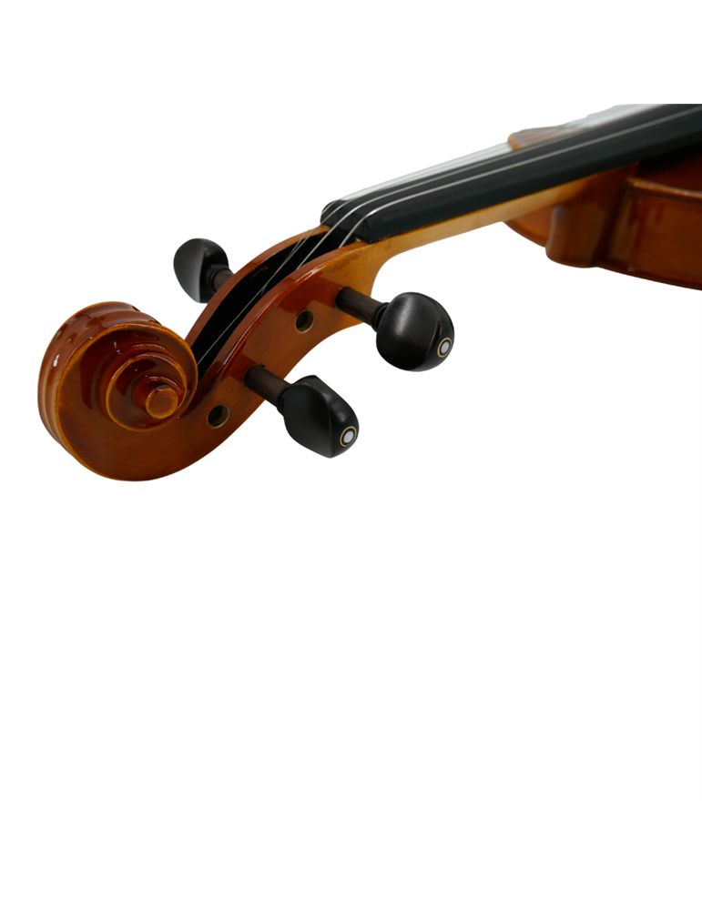 Violín 3/4 Gaudieri HD-V01