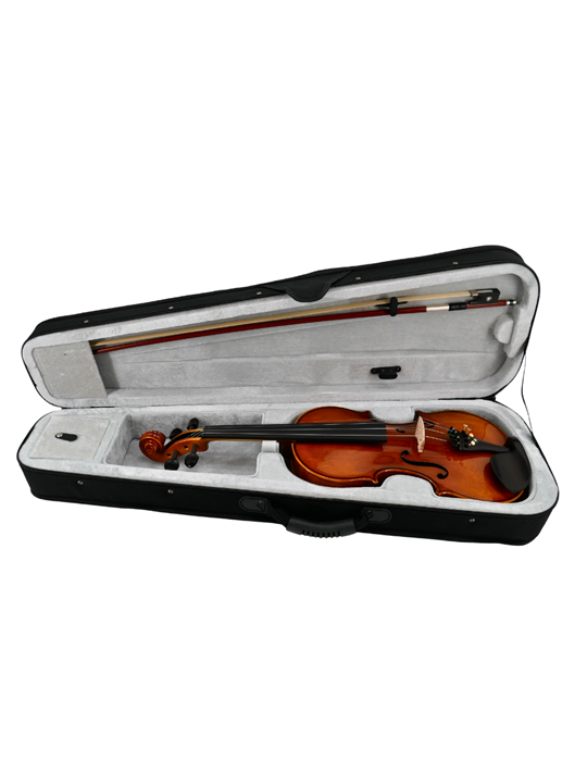Violín Gaudieri HD-V21 4/4