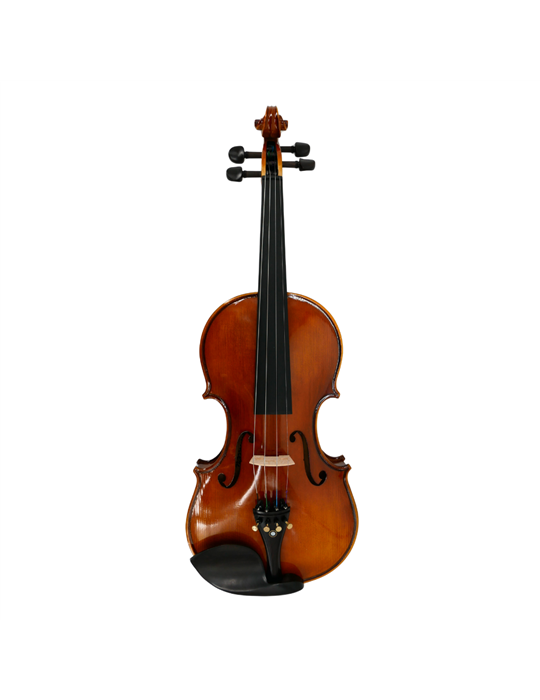 Violín Gaudieri HD-V21 4/4