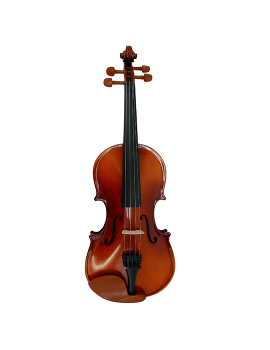 Violín Gaudieri HD-V21 1/2