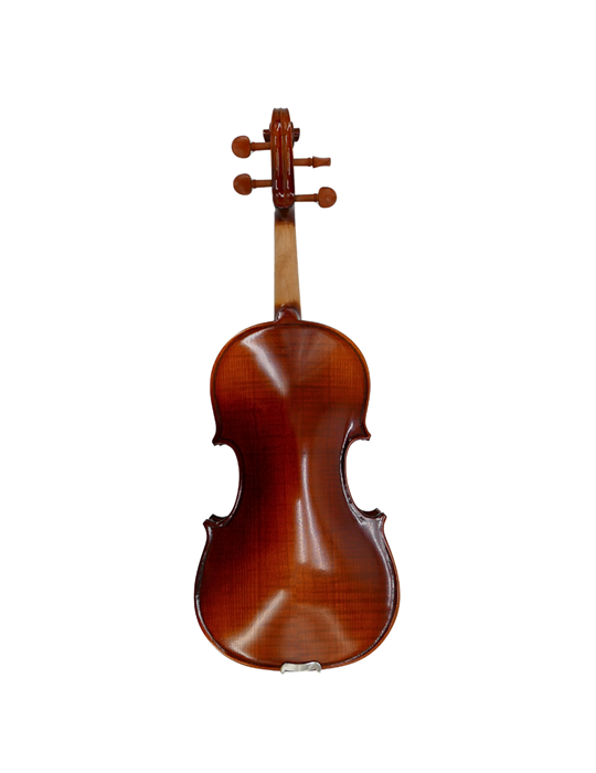Violín Gaudieri HD-V21 1/2