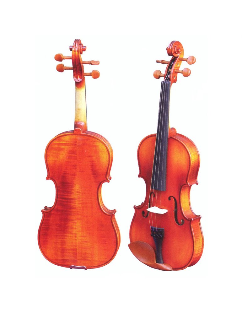 Violín 1/8 Gaudieri HD-V21