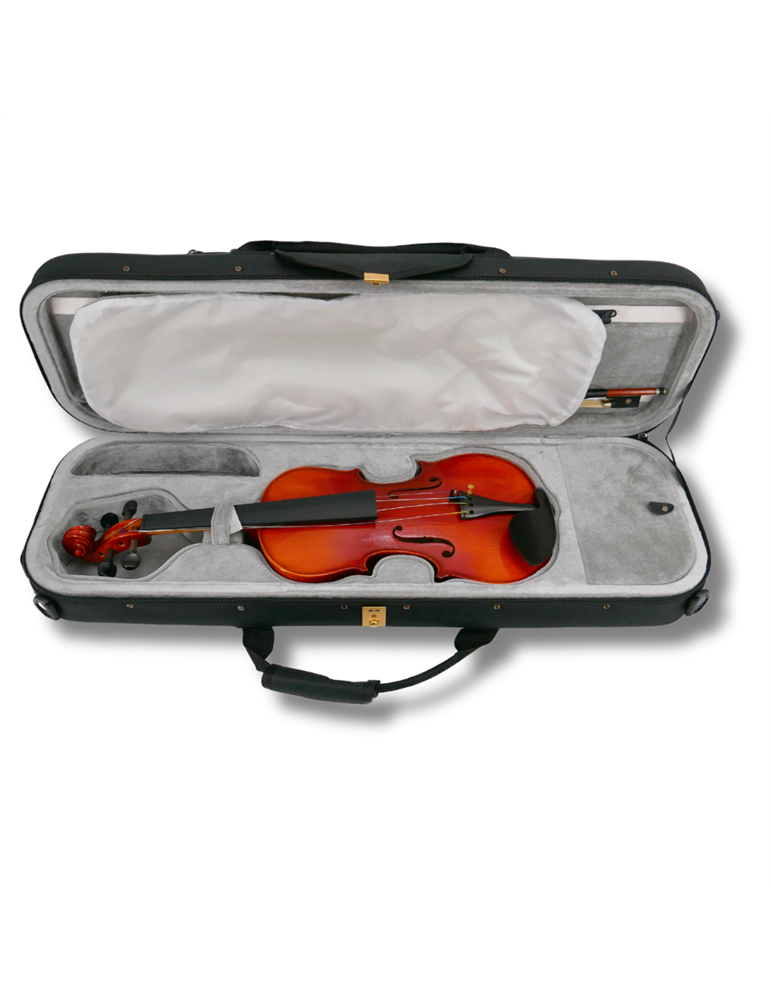 Violín Gaudieri HD-V31 A 4/4