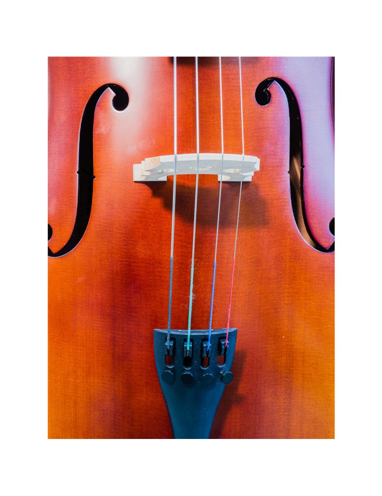 Cello Gaudieri HD-C11 3/4