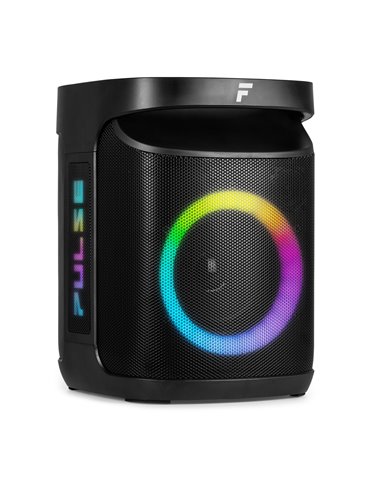 Pulse65 Party Speaker In/Outdoor