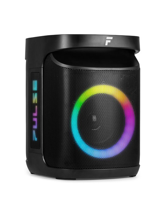 Pulse65 Party Speaker In/Outdoor