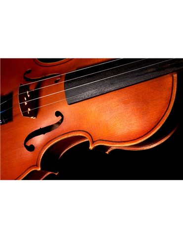 Juego Cuerdas Violín "Popular" G-105/4/4