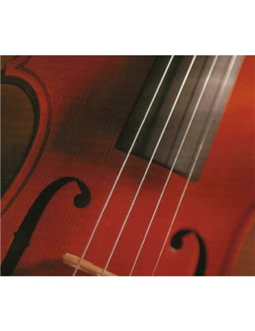 Juego Cuerdas Violín "Popular" V-105/1/2