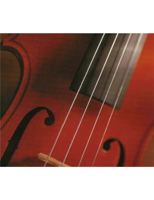 Juego Cuerdas Violín "Popular" V-105/1/2