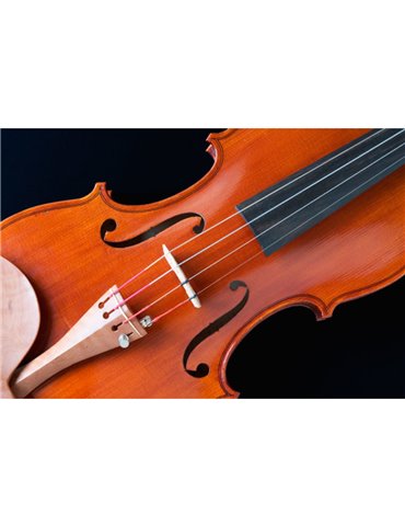 Juego Cuerdas Violín "Popular" G-105/1/8