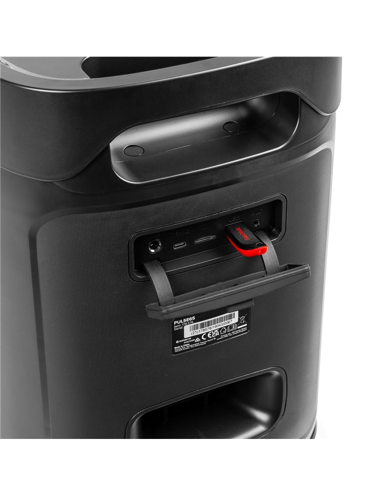 Pulse65 Party Speaker In/Outdoor