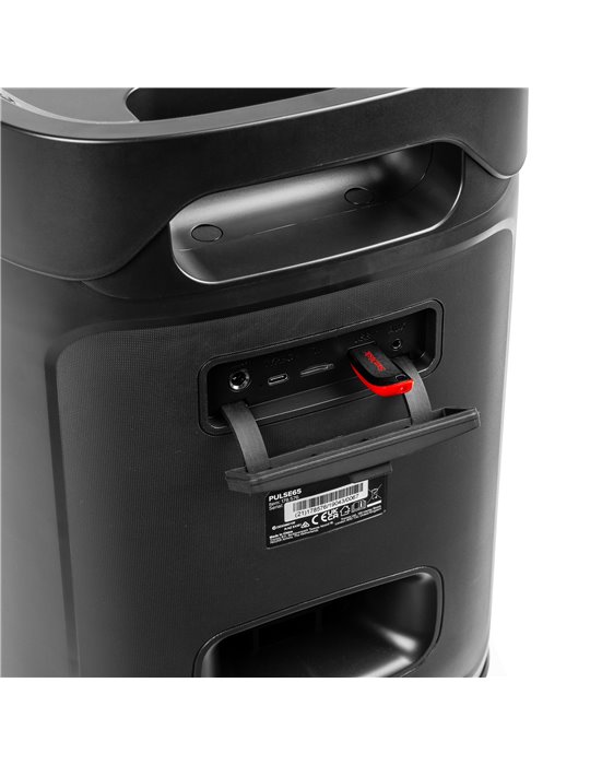 Pulse65 Party Speaker In/Outdoor
