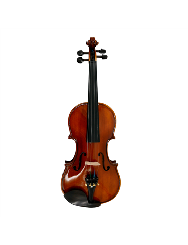 Violín 4/4 Gaudieri HD-V00