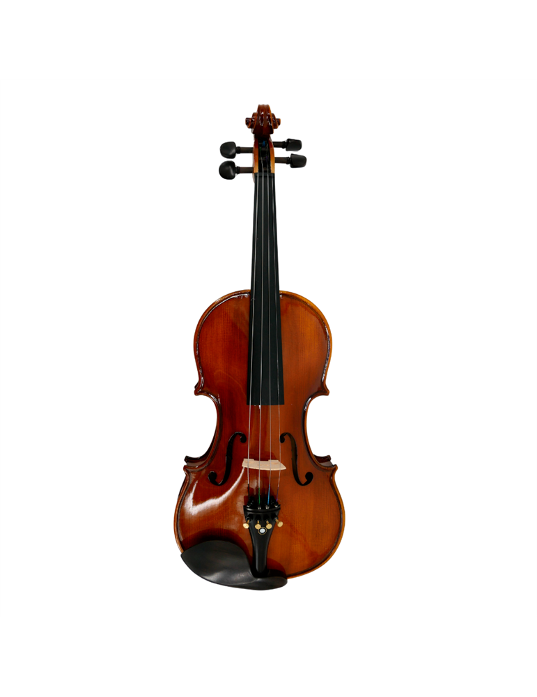 Violín 4/4 Gaudieri HD-V00
