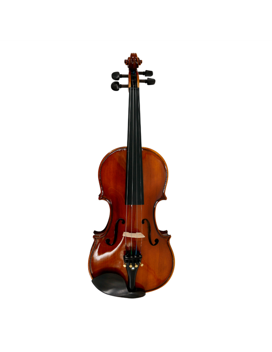 Violín 4/4 Gaudieri HD-V00