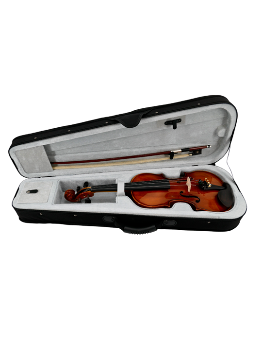 Violín 4/4 Gaudieri HD-V00
