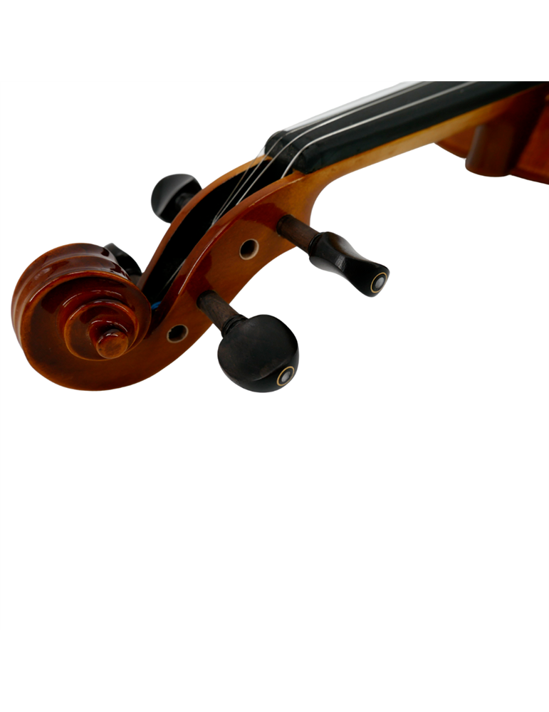 Violín 4/4 Gaudieri HD-V00