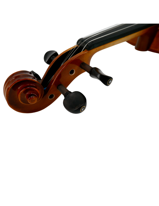 Violín 4/4 Gaudieri HD-V00