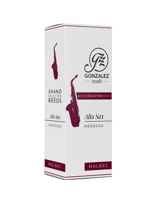 Caja 5 Cañas Saxo Alto Gonzalez Malbec 2½