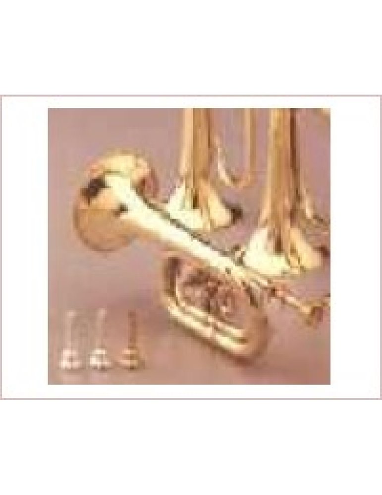 Corneta Honsuy Corta Do/Sib/Reb 2 Pistones Latón 70750