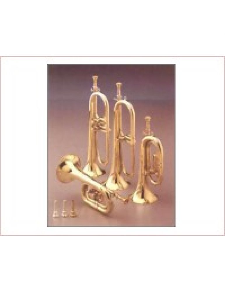 Corneta Honsuy Corta Do/Sib/Reb 2 Pistones Plateada 72750