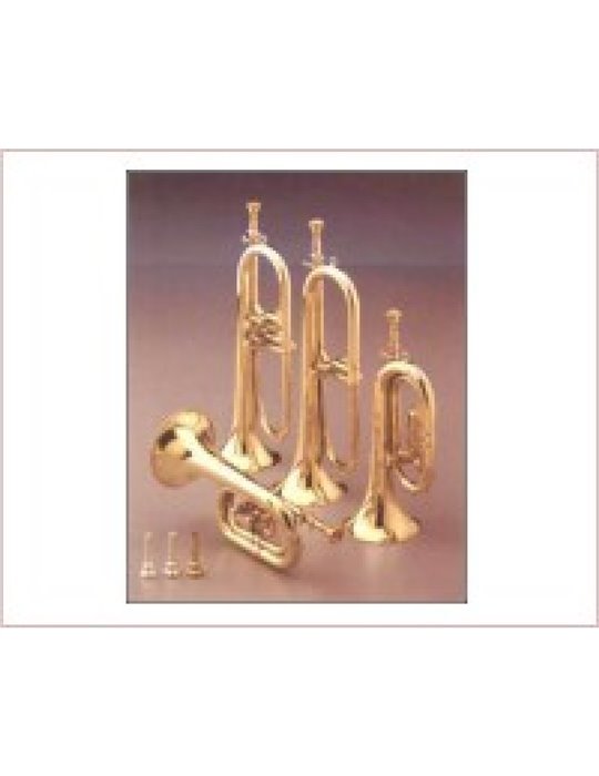 Corneta Honsuy Corta Do/Sib/Reb 2 Pistones Plateada 72750