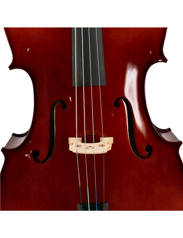 Cello Karpathi 1444-P 4/4 2