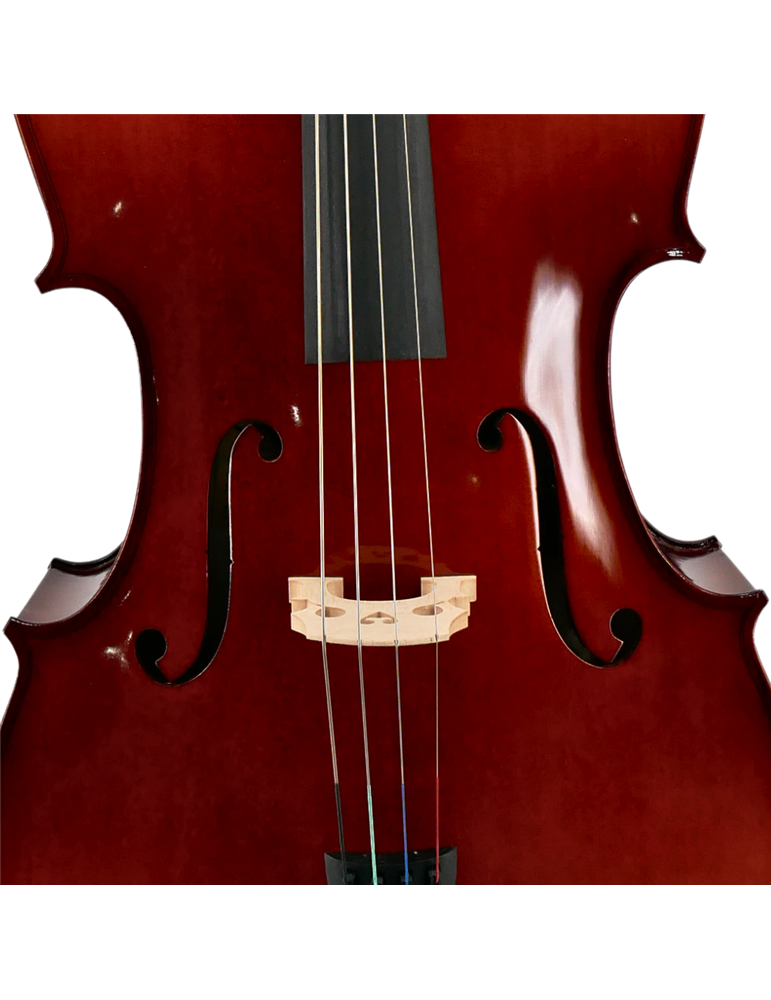 Cello Karpathi 1444-P 4/4