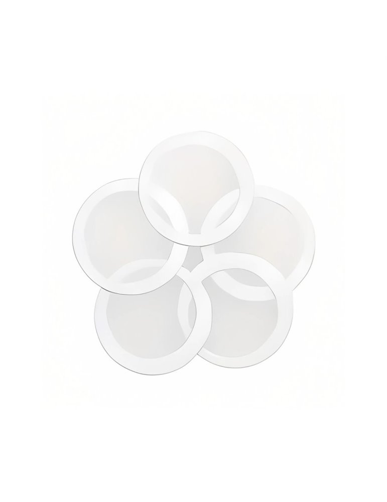 Juego 5 membranas para Ripple Phono Kazoo