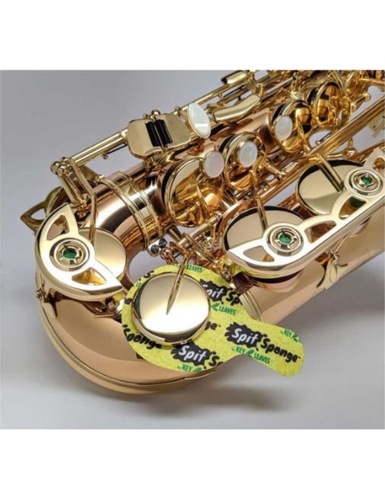 Key Leaves Spit Sponge Saxo SPTSAX