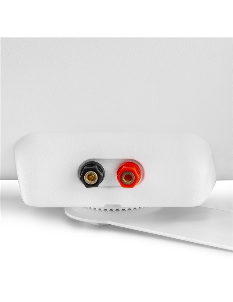 BF80TW Altavoz In/Outdoor 8" IPX5 Blanco 100V