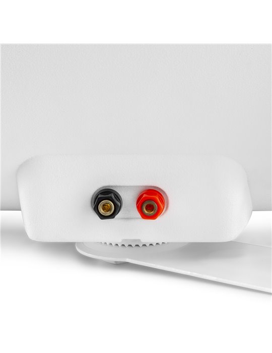 BF80TW Altavoz In/Outdoor 8" IPX5 Blanco 100V