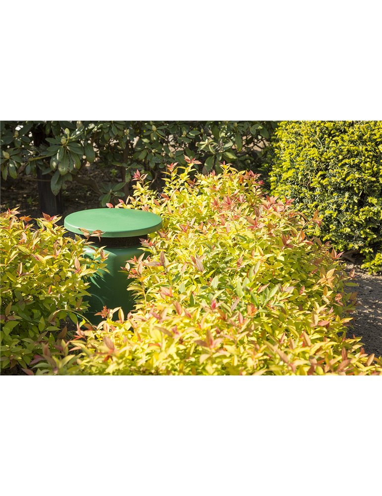 GS530 Altavoz de jardin IPX5 30W 100V 5,25"