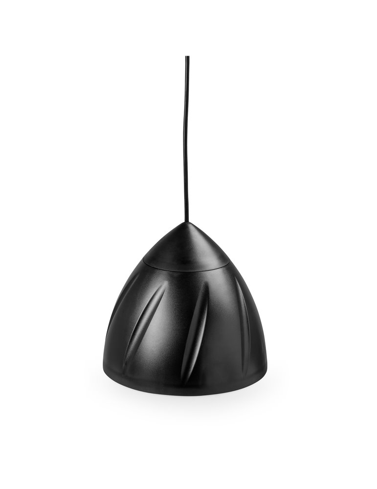 PDS50B Altavoz Colgante 100V 6.5” Negro