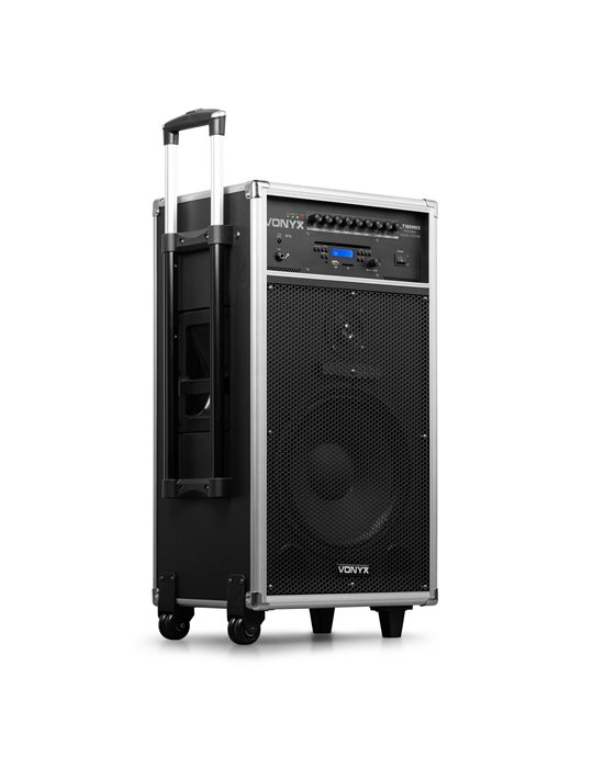 ST180 Sistema Portatil 12'' 450W