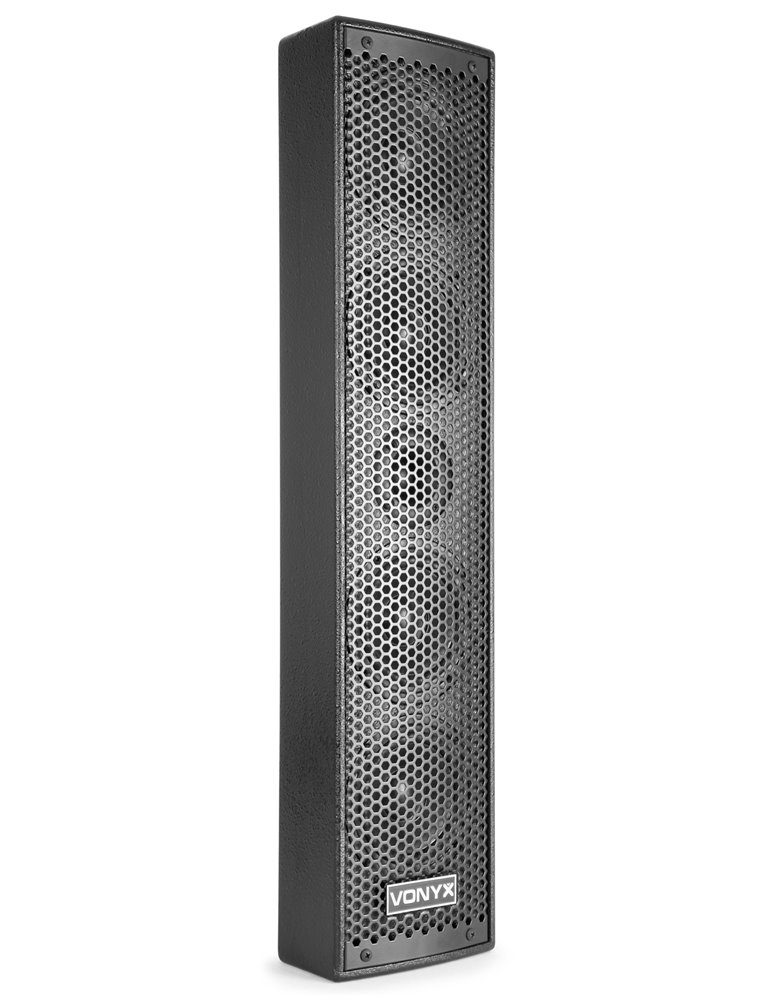 VX1200 Sistema 2 vias Full range