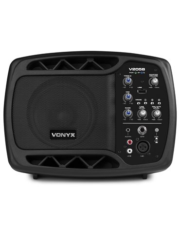 V205B Monitor Personal PA con BT/USB 2