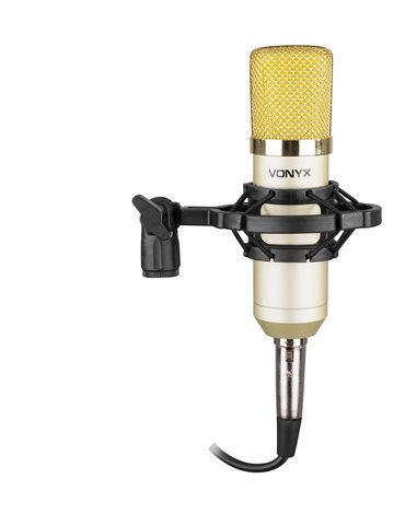 CM400C Microfono de estudio de condensador Champán