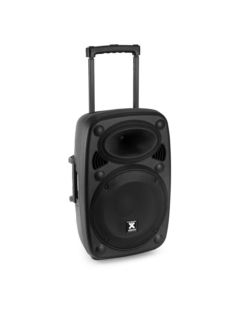 Verve38 Sistema portátil de Sonido 12”