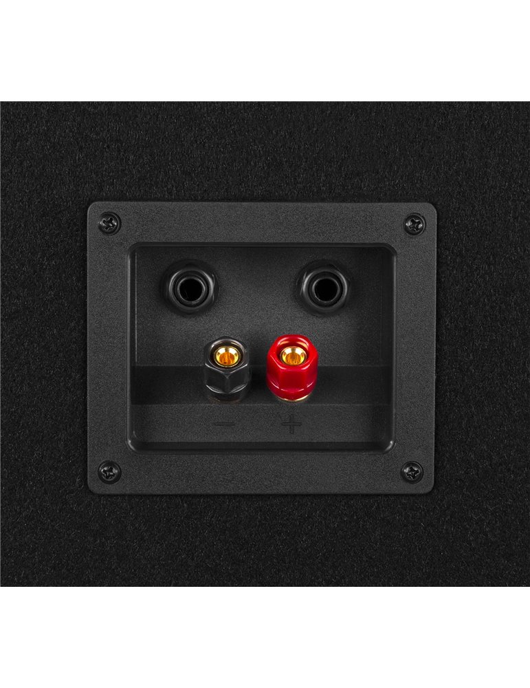 SL6 Caja acustica disco 6"/15cm 250W. Pareja