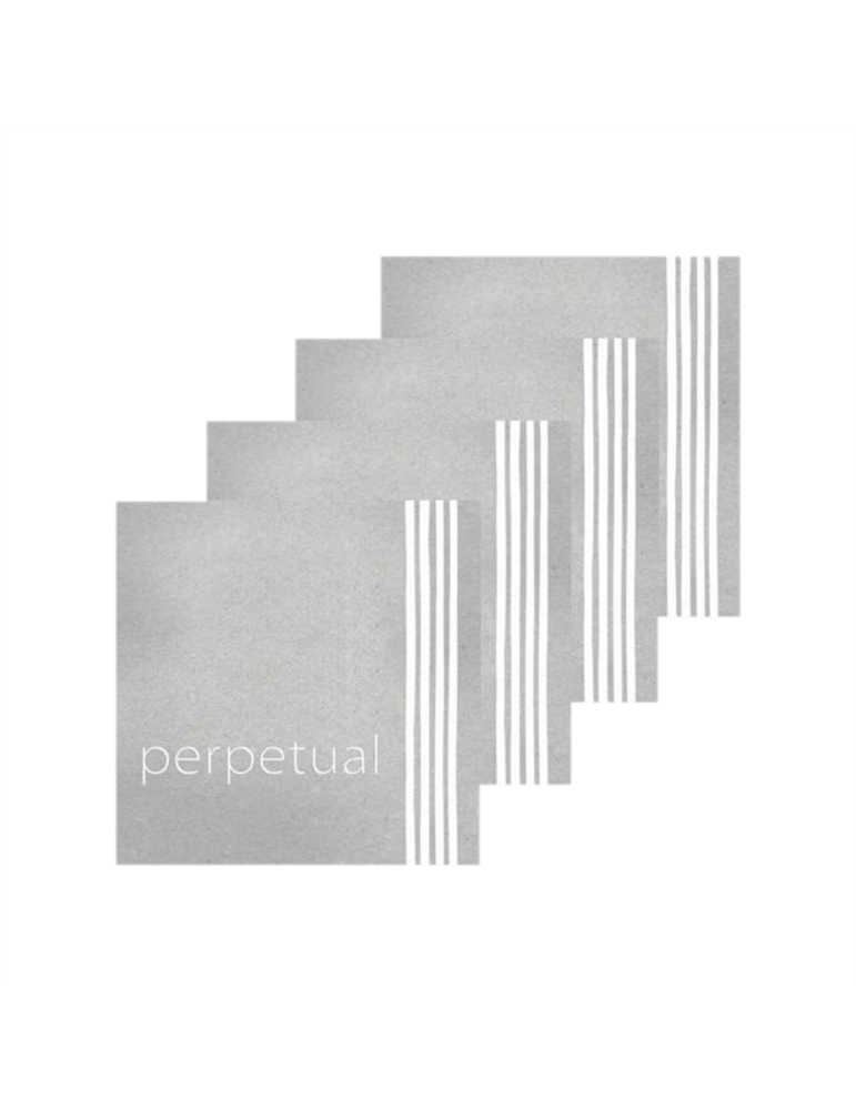 Juego Violin Pirastro Perpetual 41A021