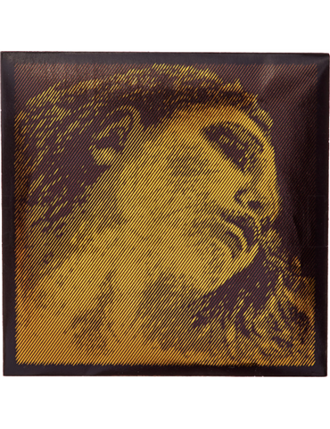 Cuerda 2ª Pirastro Viola Evah Pirazzi Gold 323221 Nucleo Acero Cromo