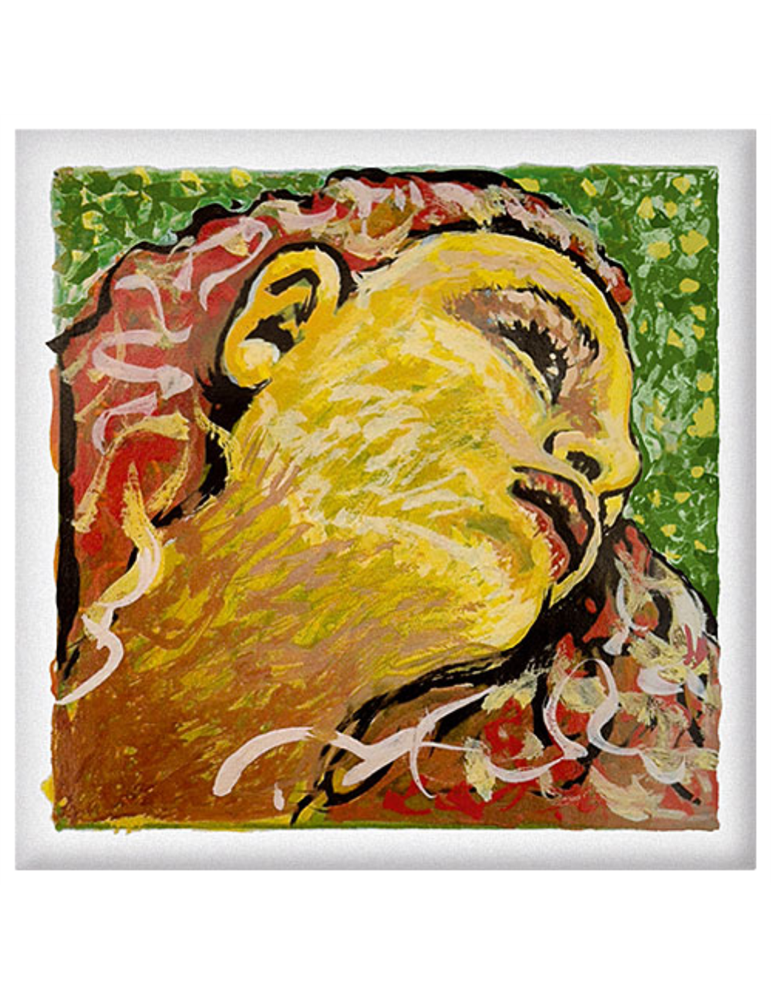 Juego Violín Pirastro Evah Pirazzi Neo 41B021