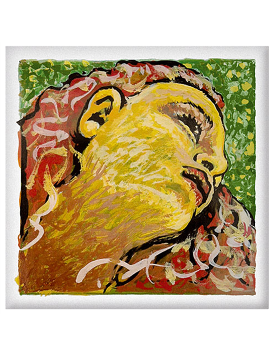 Juego Violín Pirastro Evah Pirazzi Neo 41B021