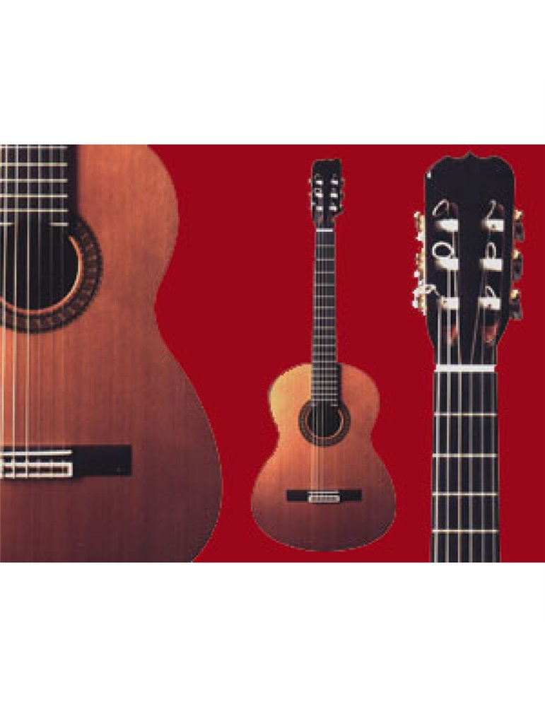 Guitarra Ramírez 1ª Especial Palosanto