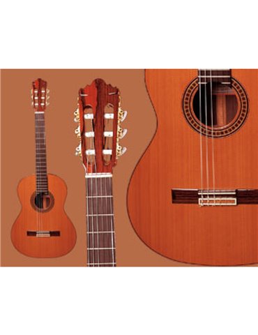 Guitarra Ramírez  4-NE Palosanto