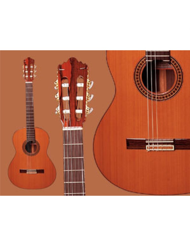 Guitarra Ramírez  4-NE Palosanto